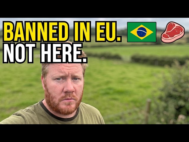 EU Banned It. Britain Didn't: What's in Brazilian Meat?