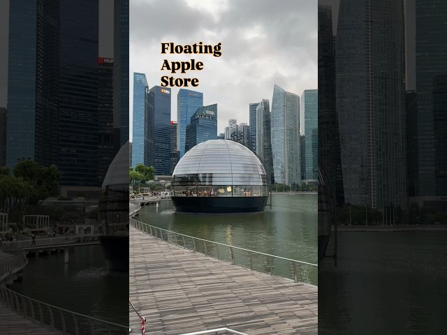 This Apple Store is floating on water 🧑‍💻🖥️ #shorts