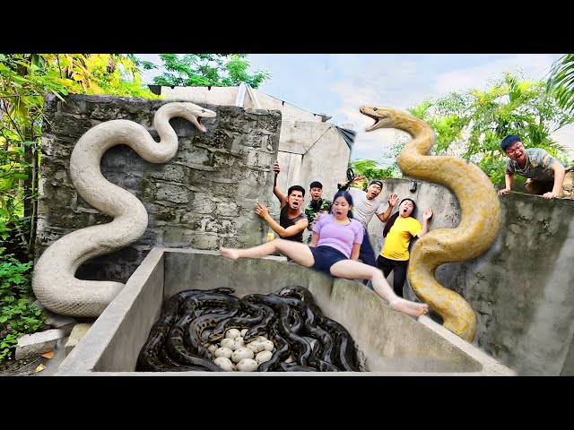 Brave Soldier Uses High-Tech Snake Detector to Locate Giant Python's Nest