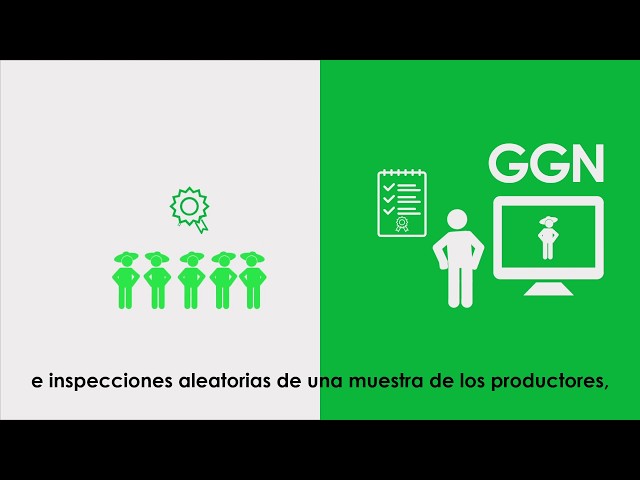 Certificación Grupal GLOBALG.A.P. - Opción 2