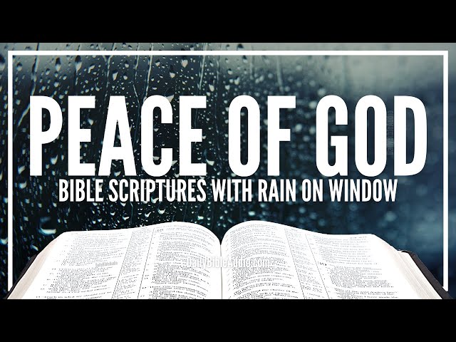Peaceful Scriptures and Gentle Rain On Window At Night | Bible Verses & Rain Sounds For Sleep