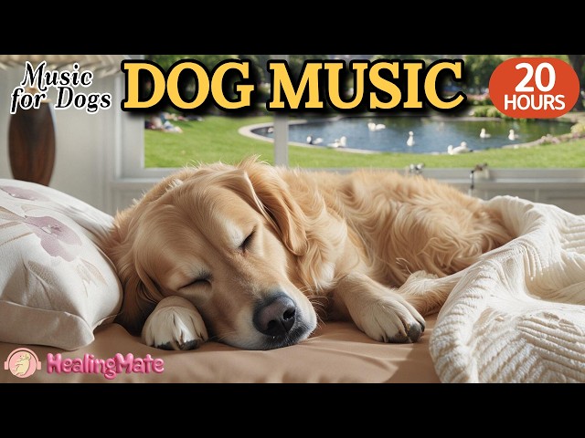 20 HOURS of Dog Calming Music🐶🎵Dog Stress and Anxiety Relief Music🐶💖Sleep Music for Dogs
