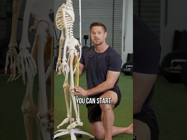 How To Fix Your Tight Hamstrings (NOT by stretching)