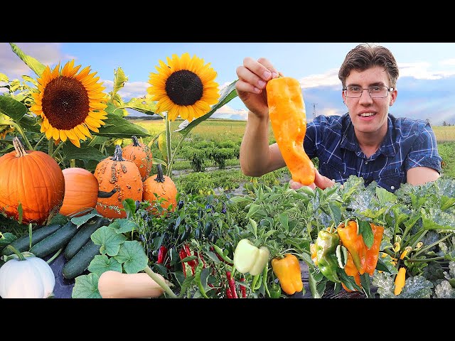 Garden Harvest Compilation 3