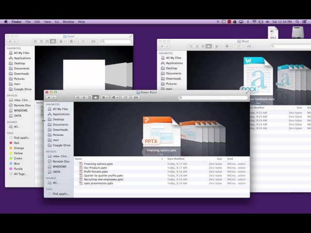 Computer Literacy: Managing Windows (mac)