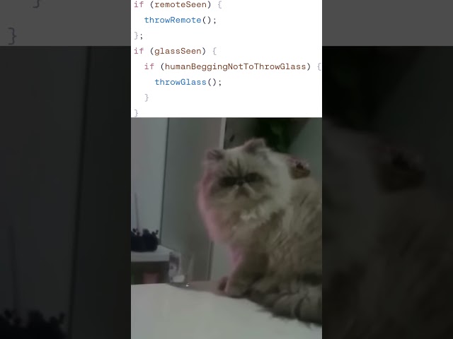 bro is evil 💀 #cat #code #javascript