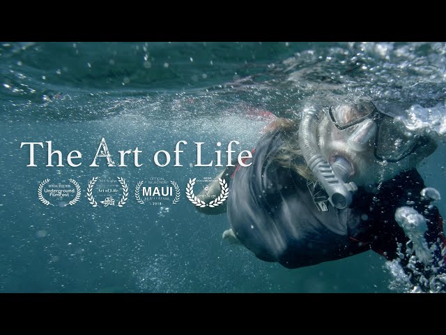 The Art of Life