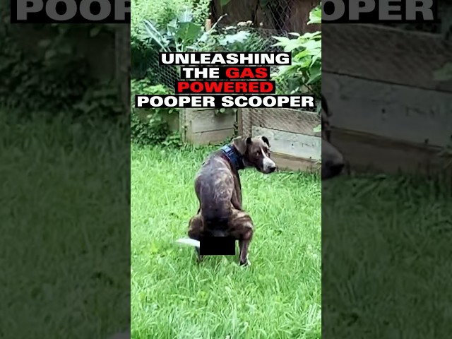 Unleashing the gas powered pooper scooper