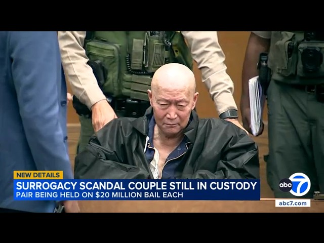 Suspect in Arcadia surrogacy scandal allegedly has access to $100M