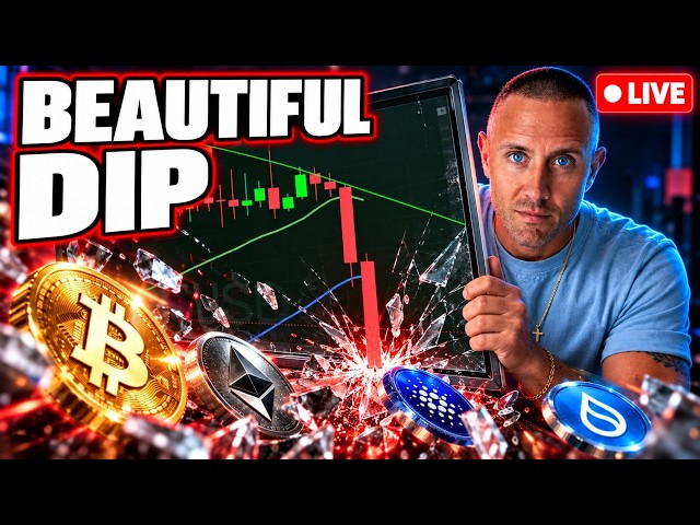 CRYPTO Is Crashing! (THIS Is What Bull Markets Are Made Of)