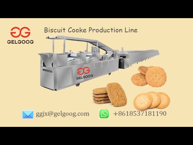 Commercial Biscuit Production Line Cookie Making Plant @gelgoog com