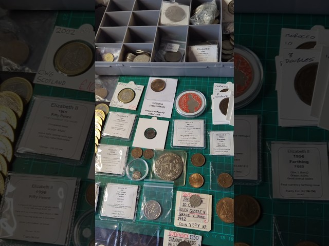 HUGE AUCTION TODAY!