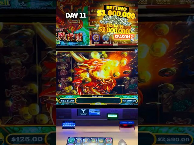 Day 11 😅 Biggest Bet Possible on Mighty Cash | Season 2