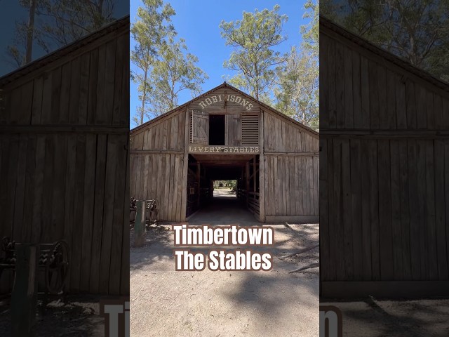 Timbertown - The Stables #shorts #travel #abandoned #horse #horseriding