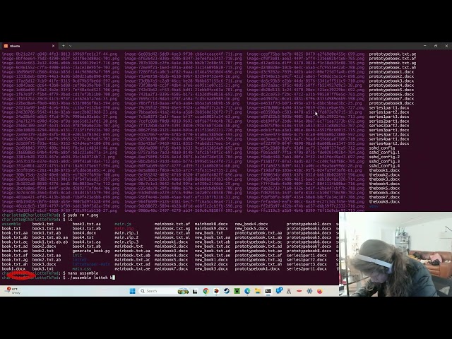 Coding in the afternoon to write a book