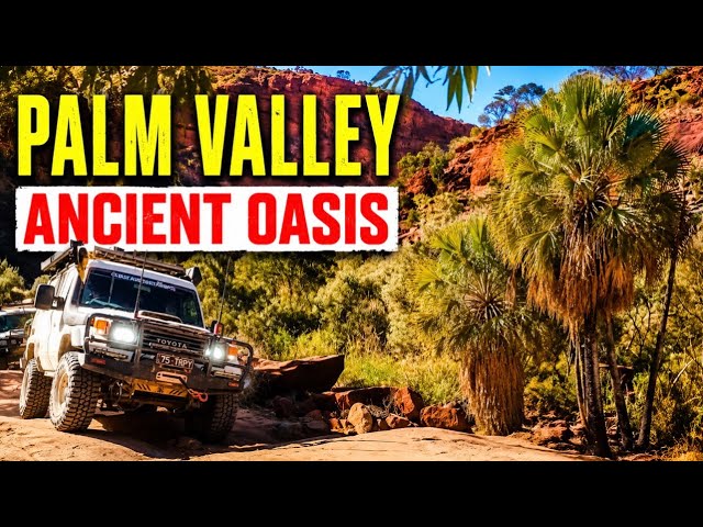 Palm Valley | Finke Gorge NP |  Northern Territory