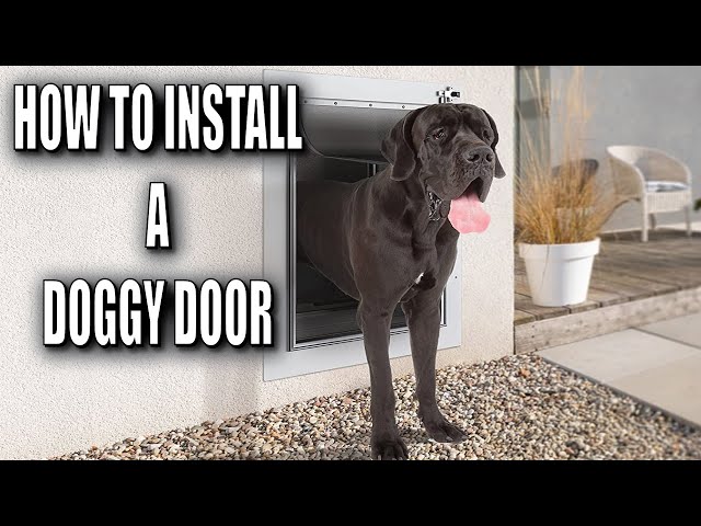 How To Install A Doggy Door In Your Wall