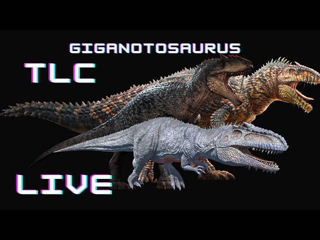 So Lets Talk About That Giga TLC | The Explorer Notes Podcast