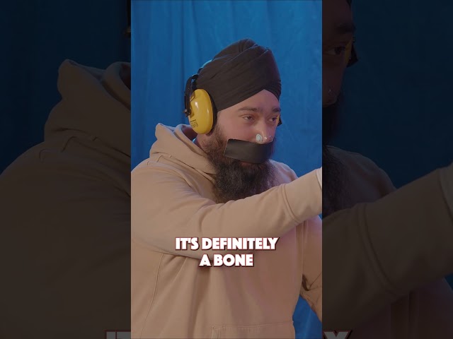 Game show called Is It A Bone? #isitabone