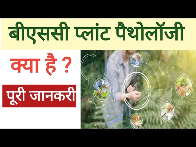 Why choose BSc Plant Pathology after 12th? Career Guidance