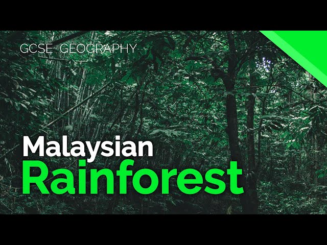 Malaysian Rainforest (Rainforest Case Study) | AQA GCSE 9-1 Geography