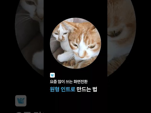 많이 보이는 ‘원형 인트로’ 만드는 법