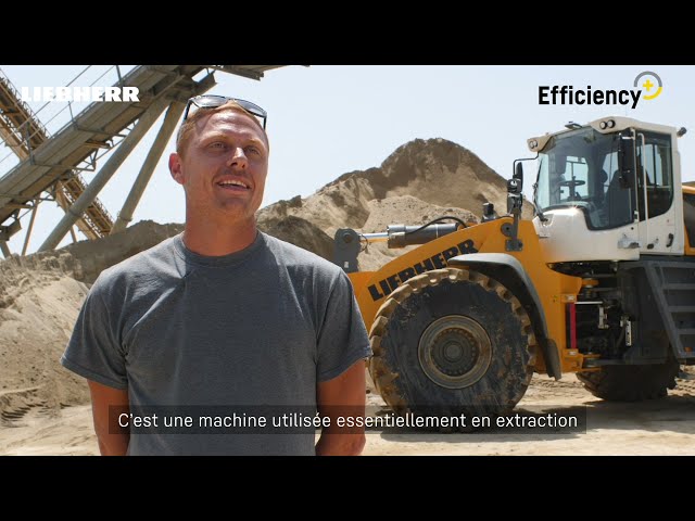 Liebherr - Chargeuse sur pneus L 586 XPower chez Betag