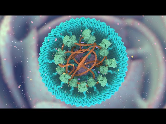 Form, Function & Future — The RNA Extruding Nanofactory