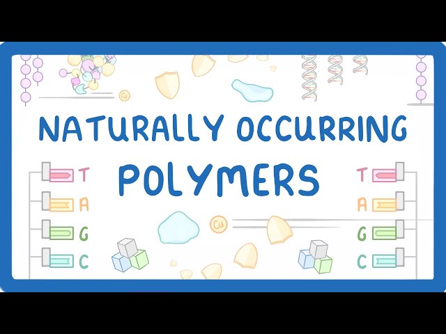 GCSE Chemistry - Naturally Occurring Polymers - Polypeptides, DNA, and Carbohydrates (2026/27 exams)