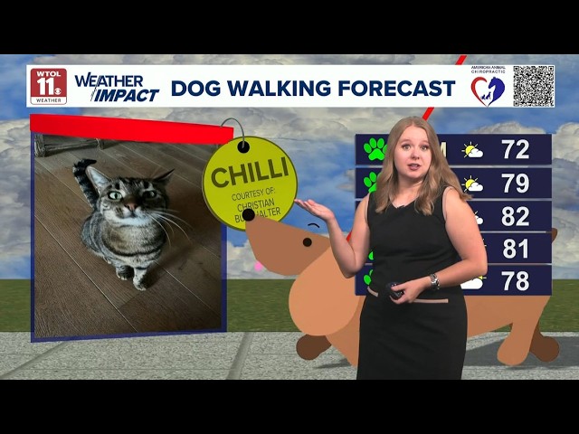 Dog walking forecast: Beautiful green paw day to enjoy the outdoors | Good Day on WTOL 11