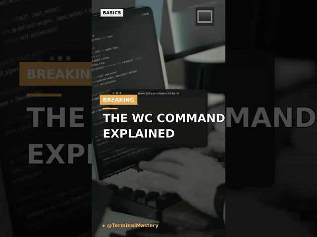 The WC Command Explained