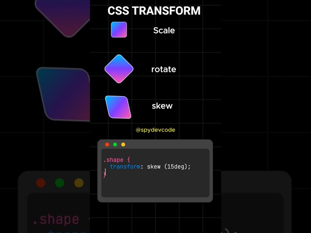 CSS Transform Properties  | Scale, Rotate, Skew #css