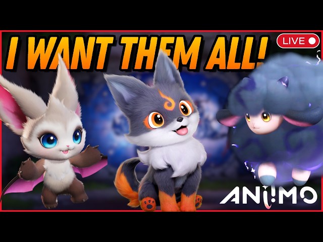 Collection Lover Plays ANIIMO for the FIRST TIME! Let's Find Something RARE! | 🔴LIVE