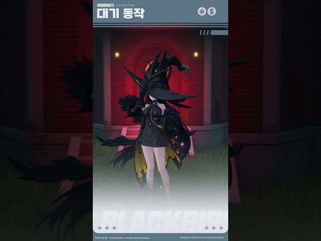 수용 훈련丨레이븐