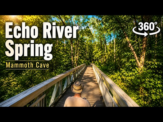 Walking Echo River Spring Trail in 360° | Mammoth Cave National Park