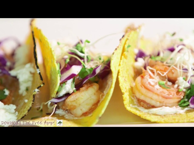 Amazing Healthy Organic Pre-Prepared Food Prep by Chef Jen Johnson with Witnessing Nature in Food