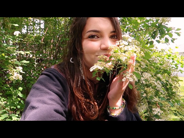 GOODWILL BINS + FLEA MARKET CHAOS & Cozy Library Sesh 🔥 VLOG