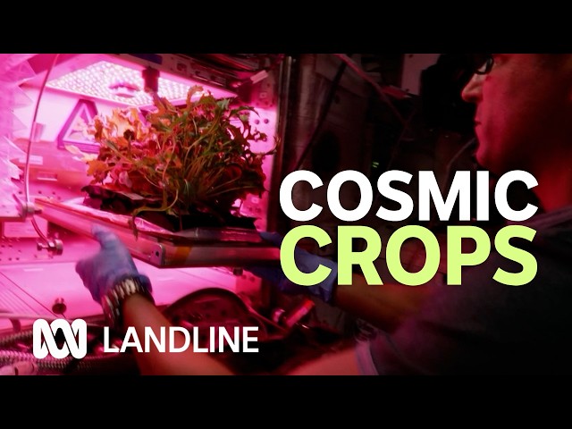 How space farming research is improving crop harvests on earth | Landline | ABC iview