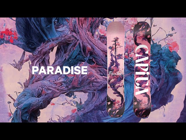 CAPiTA Snowboards | 2025 Paradise