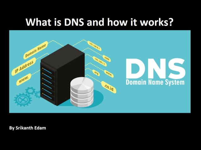 What is DNS (Domain Name Name) and how it works or used | Explained in detail | Sedam Techie