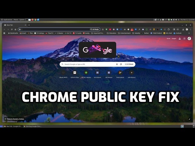 Chrome Public Key Fix: the public key is not available: NO_PUBKEY FD533C07C264648F