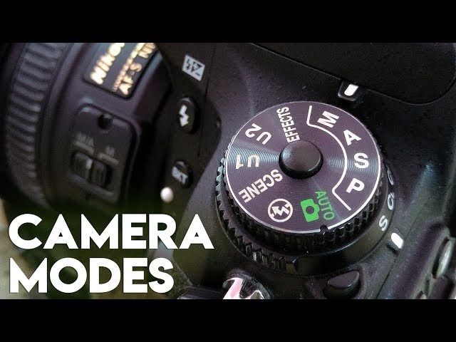 DSLR TUTORIAL: CAMERA MODES