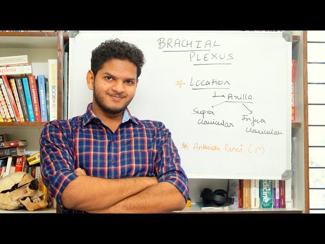 Anuj Pachhel - Brachial Plexus 1 : Roots, Trunks, Divisions, Cords.