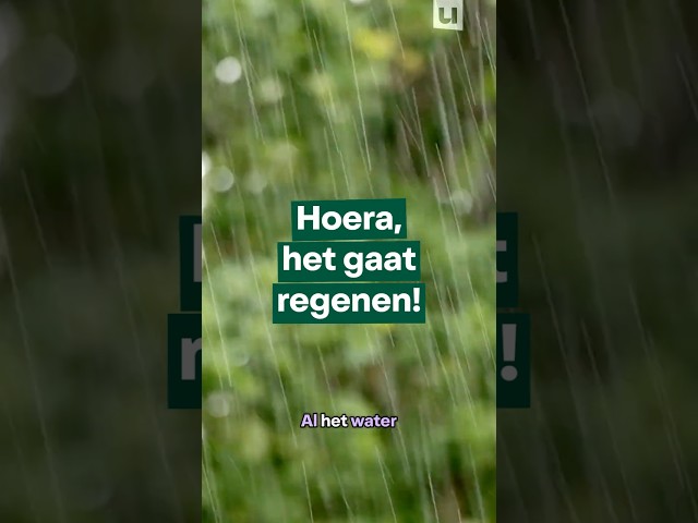 Het regent, het regent! ☔