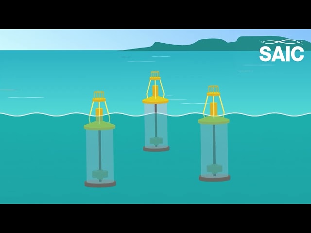 Could wave energy be the solution for greener aquaculture?
