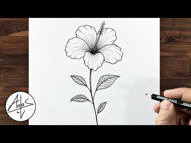 How to Draw a Hibiscus Flower with Pencil 🌺 | Easy Flower Drawing Tutorial