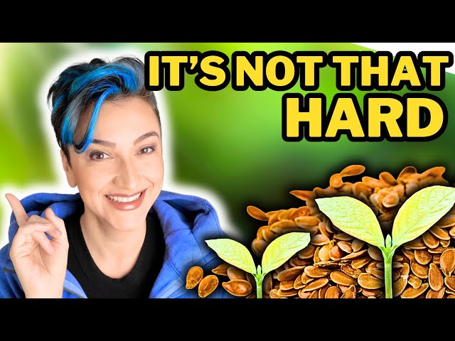 How to STRATIFY seeds LIKE A PRO