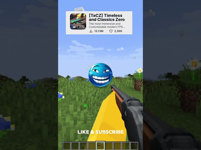 minecraft crazy mods