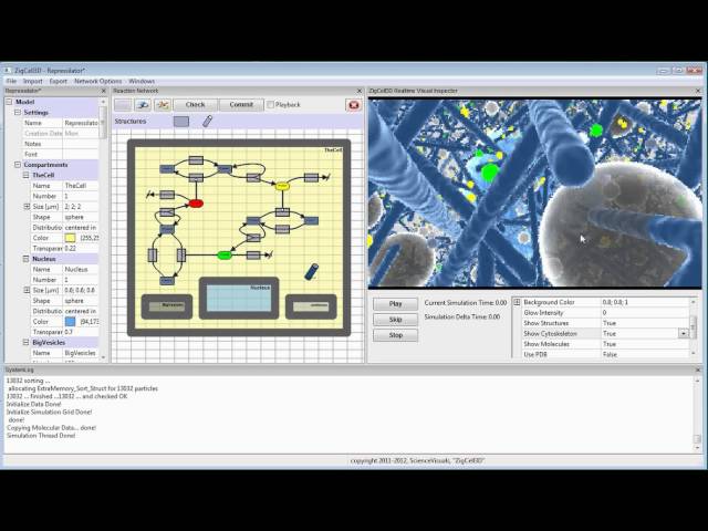 ZigCell3D - Simulating and Visualising a Reaction Network for a Signalling Cascade