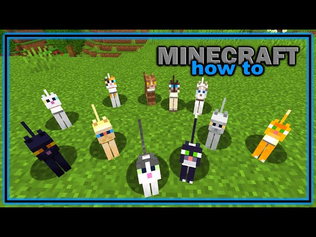 Everything You Need to Know About Cats in Minecraft! | Easy Minecraft Mob Guide